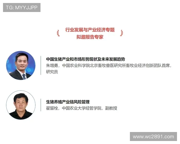 财经直播新趋势:解码市场动态与投资机遇 财经直播新趋势:解码市场动态与投资机遇